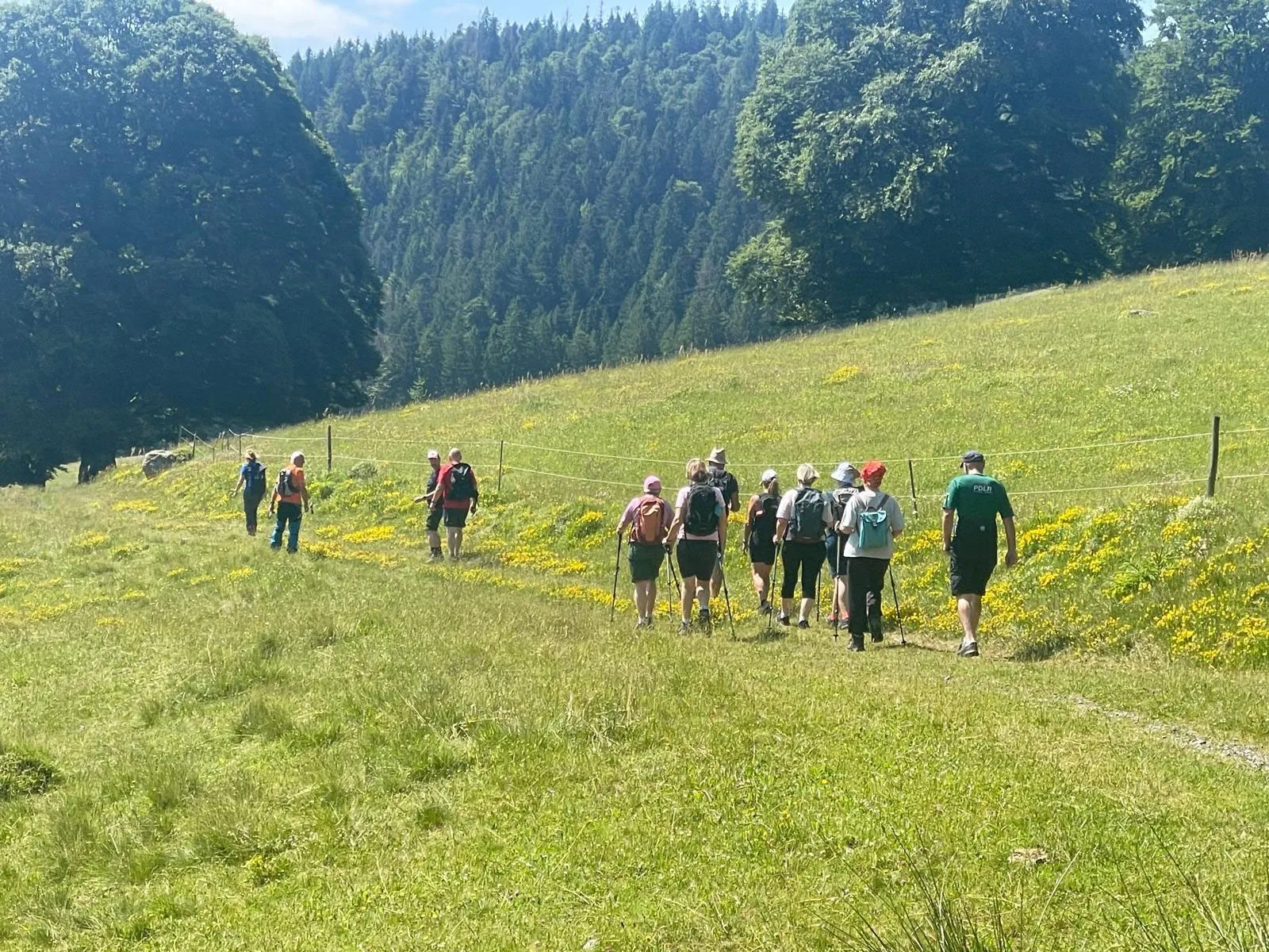 Eine Fastengruppe wandert hintereinander über eine Sommerwiese im Hochschwarzwald