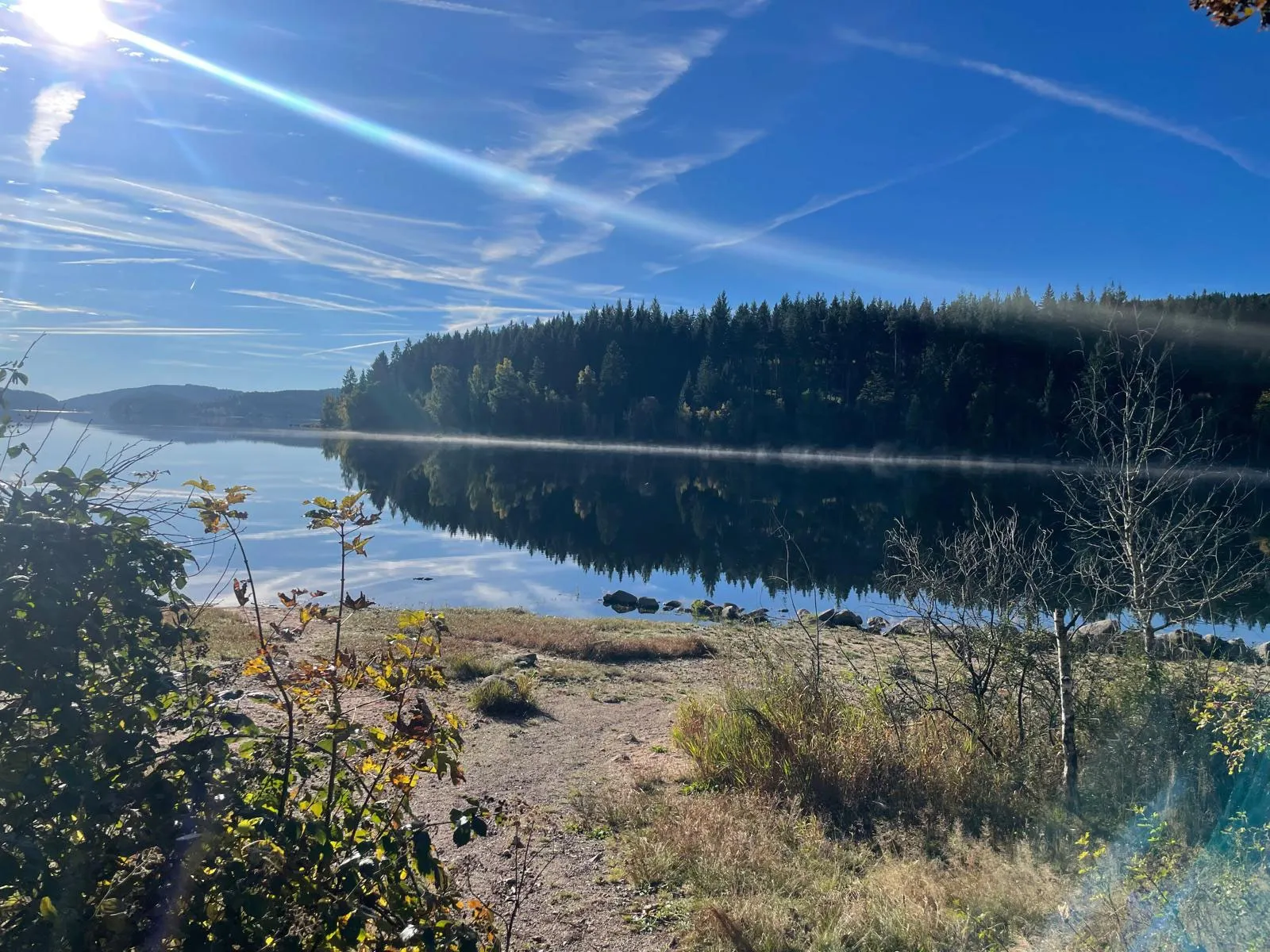 Blick über den Schluchsee an einem klaren Tag